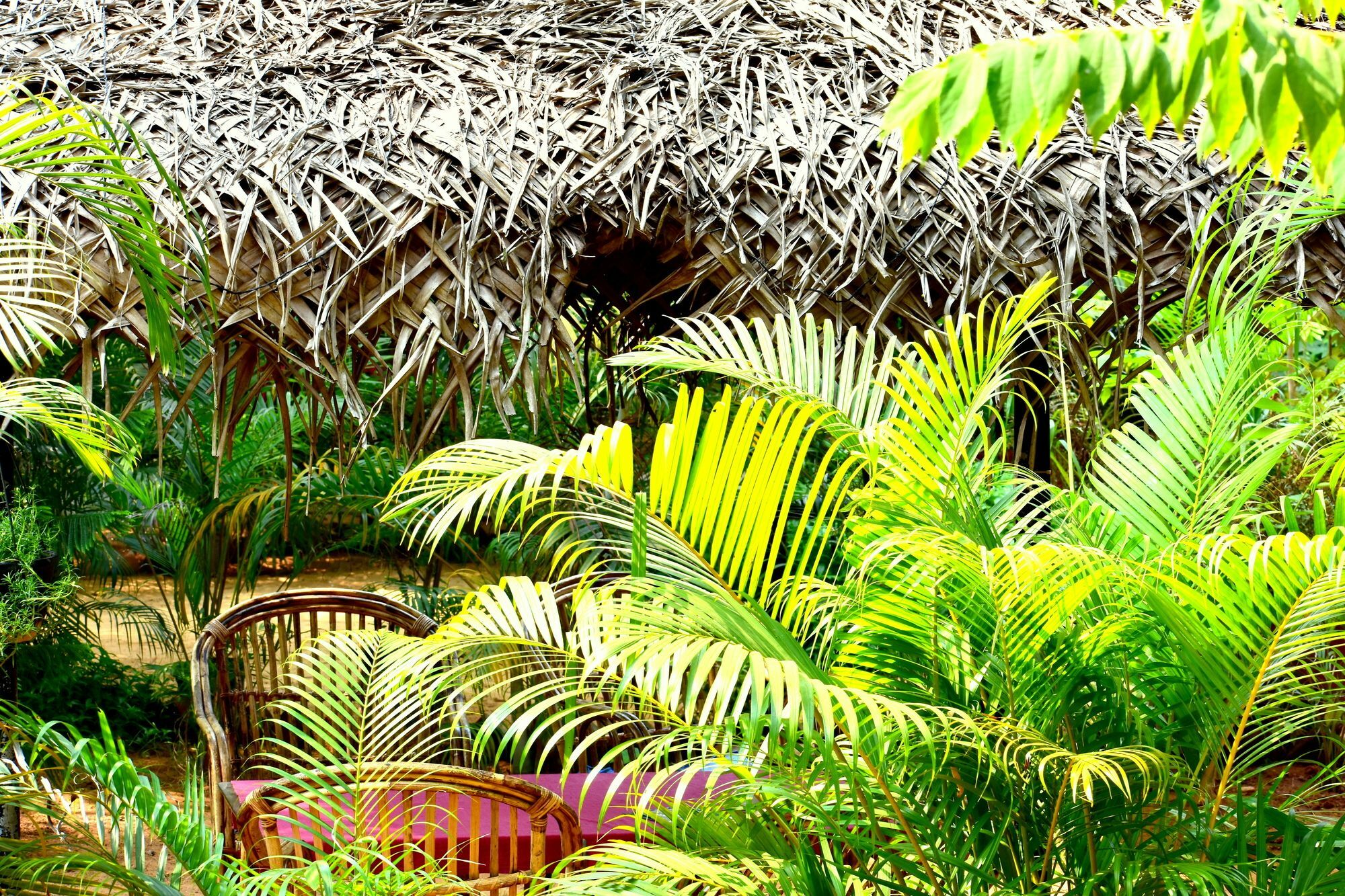 Patnem Garden Resort Patnem Beach エクステリア 写真